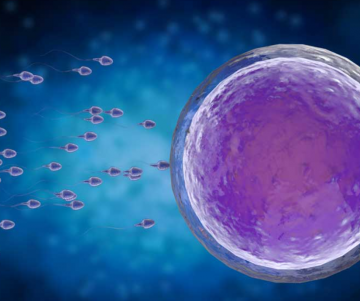 cost of fertility treatment