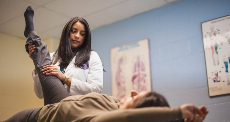 Pottsville chiropractor